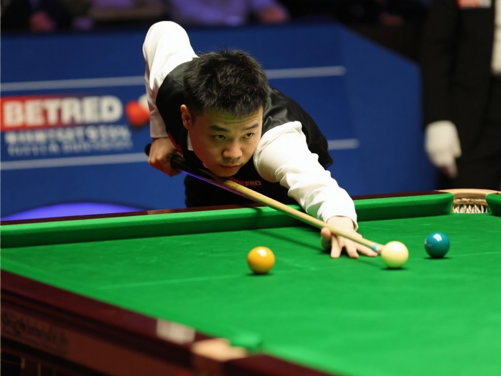 作为一个专 作为一个专